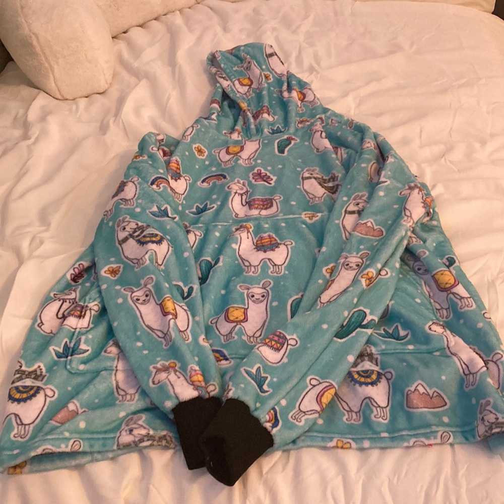 Llama comfy
